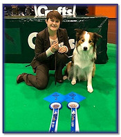 Ellie with Bertie's two 2nds at Crufts 2020