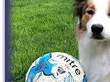 Darcy and Bertie at 12 months, with his football