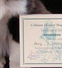 Bonny at 4 Months: 1st Place, Beginners Test