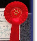 Bonny at 4 Months: 1st Place, Beginners Test