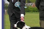 Wessex BC Club '10: Res Best Puppy In Show
