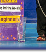 Beginner Obedience National Championship