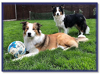 Darcy with Bertie and his football, at 12 Mths