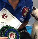 Sarah and Darcy, 2nd at Discover Dogs, qualify for Crufts 2020