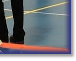 Heel Free - Beginner Obedience National Championship