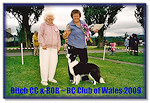 Fizz Best In Show & Bitch CC, BC Club of Wales '09