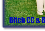 Fizz Best In Show & Bitch CC, BC Club of Wales '09