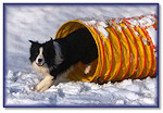Agility doesn't stop for Snow!