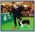 1st at Crufts 2006