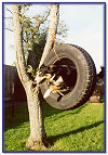 Willow - never TYRED of training!