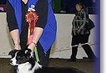 Res Best In Show at Romford & District 2012 - Age 16 Months
